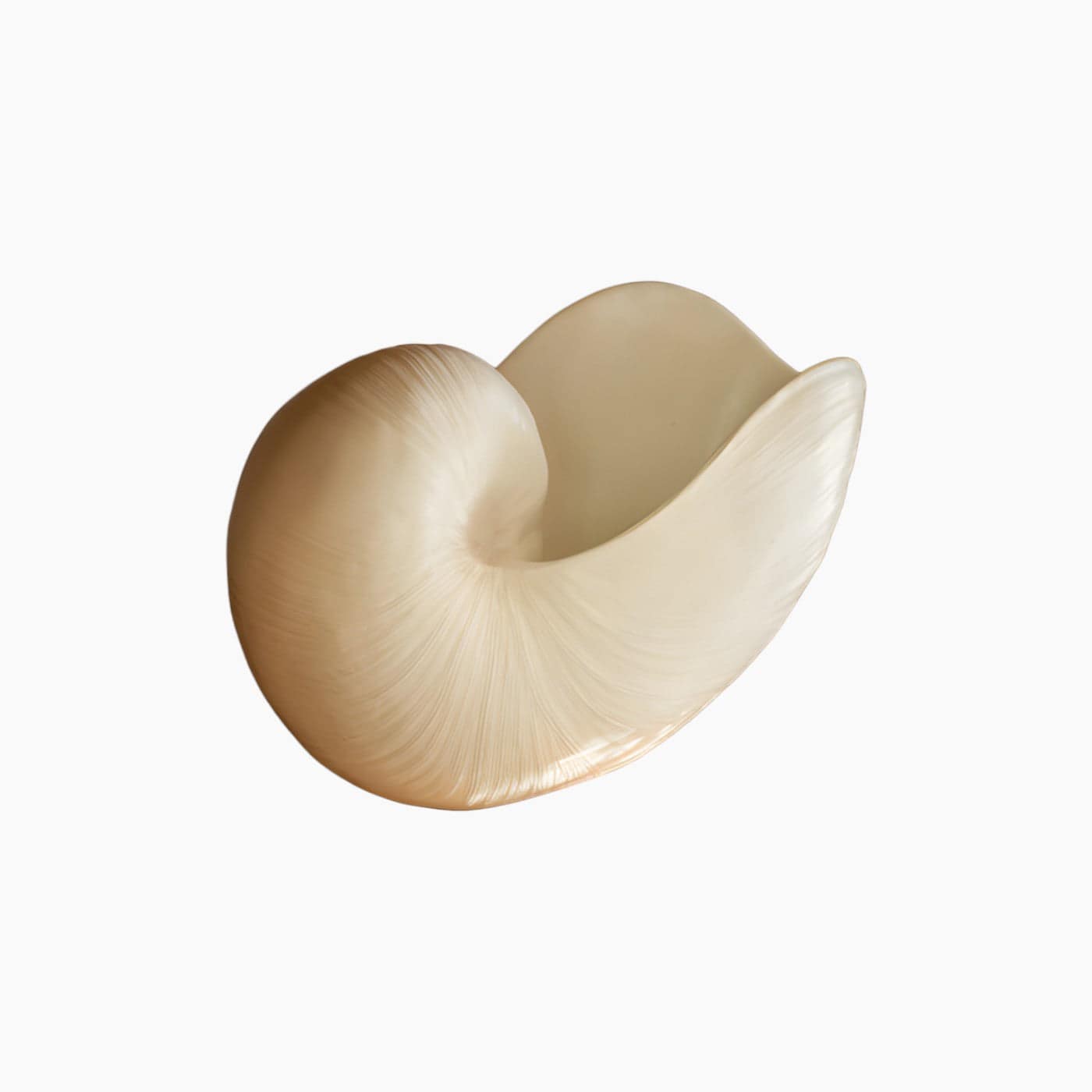 Shell Vase