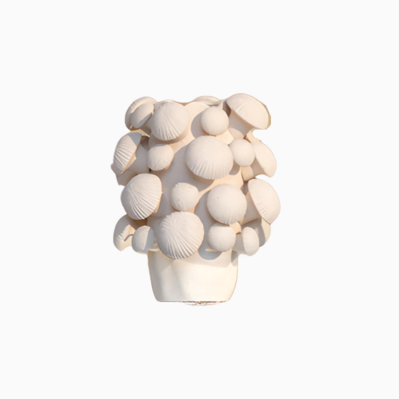 Fungi Vase