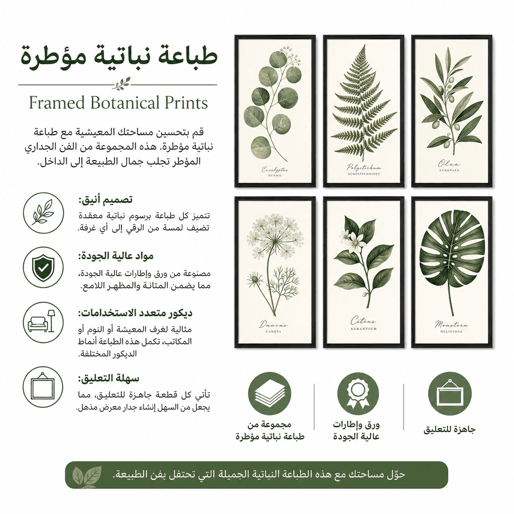 Framed Botanical Prints