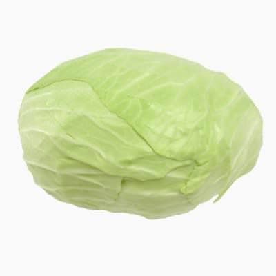 White Cabbage