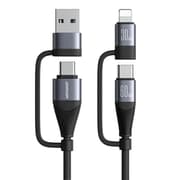 Multi-Function Series 4-in-1 Fast Charging Data Cable product image