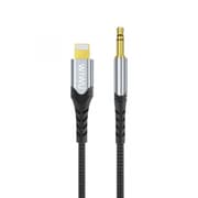 Lightning to 3.5mm Audio Stereo Cable product image