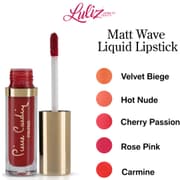 PIERRE CARDIN - matt wave liquid lipstick product image