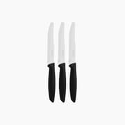 Pinti Fruit Knife 11cm Set of 6 Pieces Stainless Steel product image