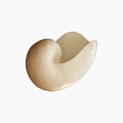 Shell Vase product image