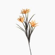 Leonardo Fiorec Cotton Flower Decorative Flower product image