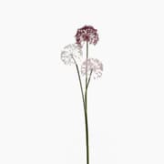 Leonardo Fiore Onion Flower Artificial Dahlia product image