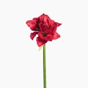 Leonardo Fiore Amaryllis Artificial Flower product image