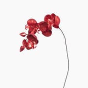 Leonardo Fiore Orchid H 85 Cm Red Glossy Sculpture product image