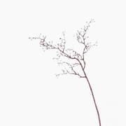 Leonardo Fiore Branch Flower product image