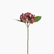 Leonardo Fiore Hydrangea Flower product image