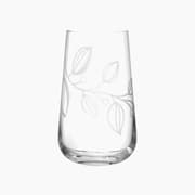 Leonardo Boccio Tumblers product image