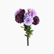 Leonardo Fiore Dahlie Artificial Flower product image