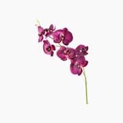 Leonardo Fiore Orchidea Decorative Piece product image