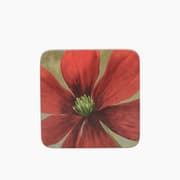 Kitchencraft Flower Study Coasters product image