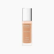 Bourjois Radiance Reveal Concealer 03 Dark Beige product image