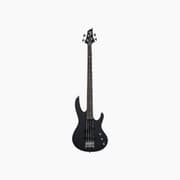 ESP Guitars LTD B-10 Bass Guitar product image