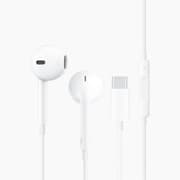 Wiwu Earbuds 303 Type C Earbuds product image