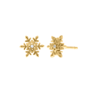 Snowflake Diamond Earrings product image