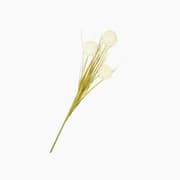 H Living Grass Bush Single Branch Artificial Flowe 63 cm Cream product image