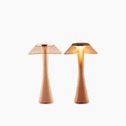 Madame Coco Coppertone Lampshade product image