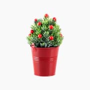 Madame Coco Rosalie Potted Flower product image