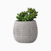 H Living Cactus Love Artificial Flower with Vase product image