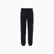 The North Face Carson Pant product image