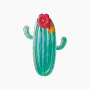 Intex Cactus Pool Float product image