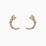 Joy Jewels Curved Earrings product image