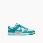 Nike Dunk Low Next Nature Dusty Cactus Shoes product image