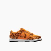 Nike Dunk Low Next Nature 'Tiger Stripes' Shoes product image