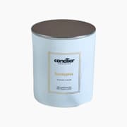 Candlier Eucalyptus Candle product image