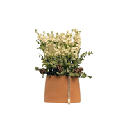 The Gesture Hush Bouqet product image