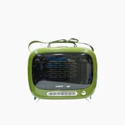 Best Buddies Retro TV Pet Carrier product image