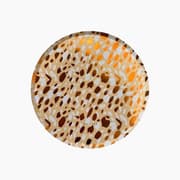 Ma Fete Safari Animal Print Plates - Set of 8 product image