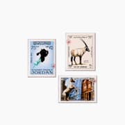 Antame Magnets product image