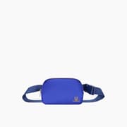 Leopardous Waist Bag product image