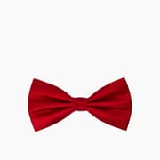 Leopardous Silk Bowtie product image