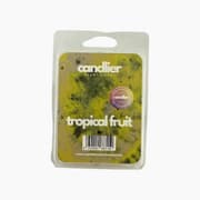 Candlier Tropical Fruit Soy Wax Melts product image