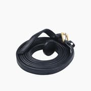 Horse Show Lead product image