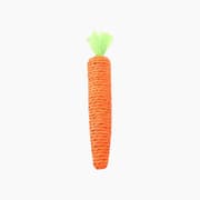 Village Care Carrot Pet Toy product image