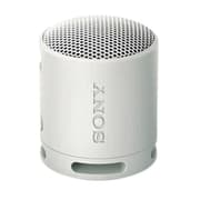 Sony Wireless Speakers, Gray product image