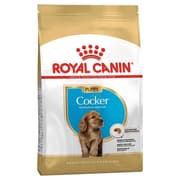 طعام جاف لجِراء كوكر لدعم المناعة والجلد والفرو، 3 كجم من Royal Canin product image