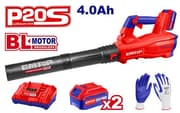 بلور شحن زراعي 20 فولت مع 2 بطارية وشاحن من EMTOP product image