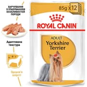 طعام رطب للكلاب البالغة من سلالة يوركشاير للحفاظ على صحة الجلد والفراء، 12x85غ من Royal Canin product image