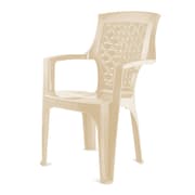 كرسي النخلة البلاستيكي بذراعين - استخدام A وخارجي من سامبا product image