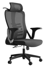 كرسي مدير موديرن ظهر منحني من ISCO 3802 product image