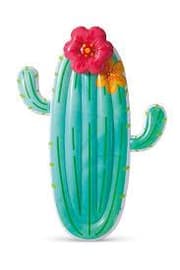 CACTUS FLOAT product image