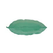 طبق تقديم بتصميم ورقة 39*16 سم بعلبة من Easy Life Madagascar - أخضر فاتح product image